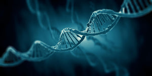 Metabolism analysis: what genetics tells us about weight loss